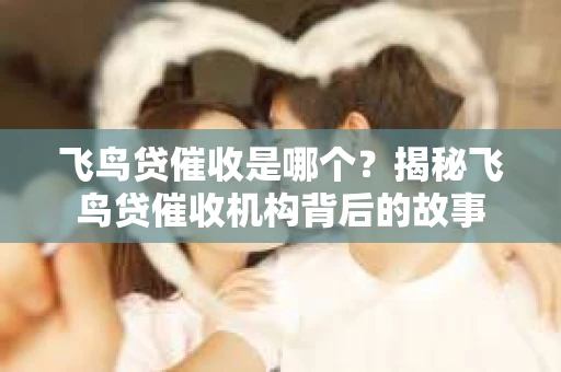 飞鸟贷催收是哪个？揭秘飞鸟贷催收机构背后的故事