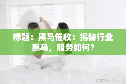 标题：黑马催收：揭秘行业黑马，服务如何？