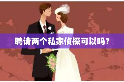 聘请两个私家侦探可以吗？