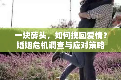 一块砖头,如何挽回爱情?婚姻危机调查与应对策略 一块砖头,如何挽回爱情?婚姻危机调查与应对策略